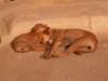 pict0091_small.jpg