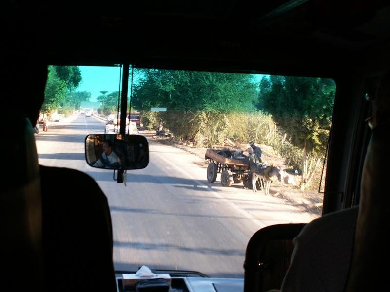 pict0115.jpg