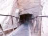 pict0141_small.jpg