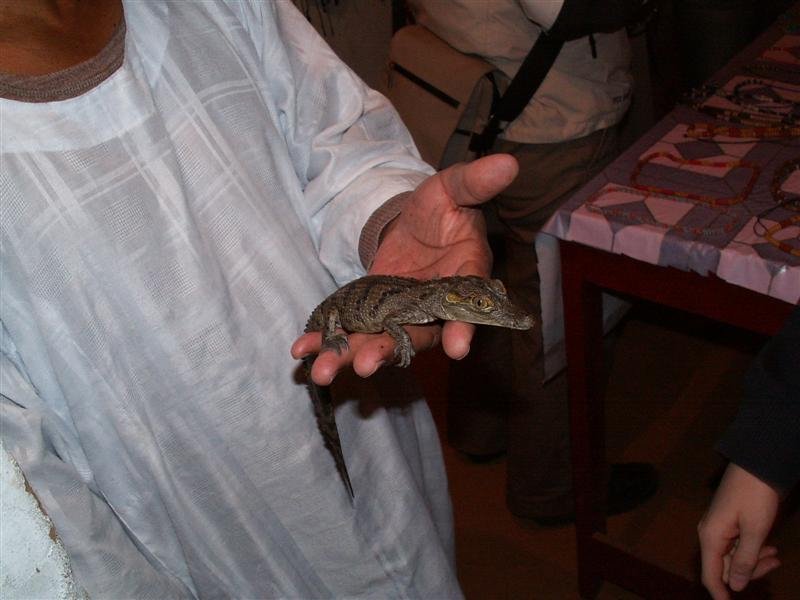 pict0322.jpg