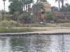 pict0369_small.jpg