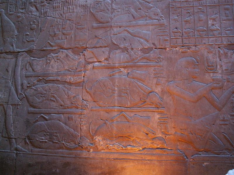 pict0417.jpg