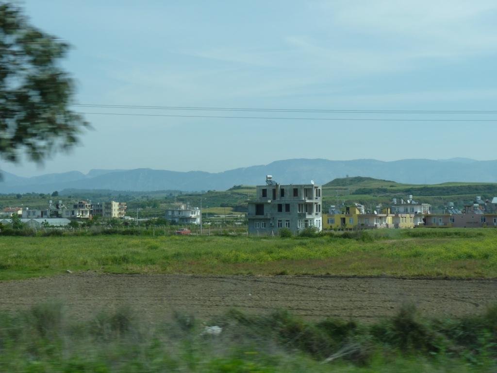 photo99.jpg