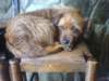 dsc00204_small.jpg