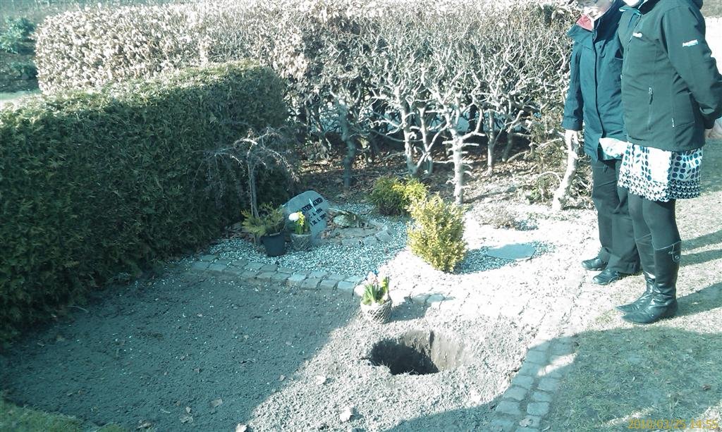 photo46.jpg