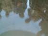pict0086_small.jpg