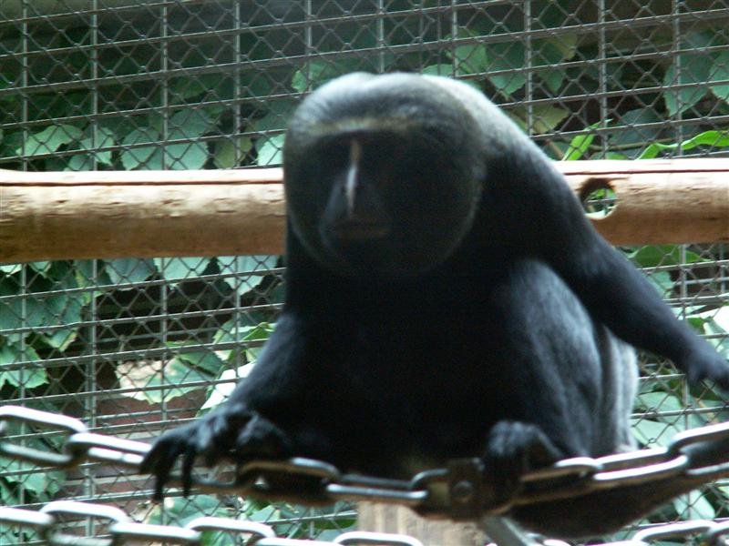 pict0261.jpg