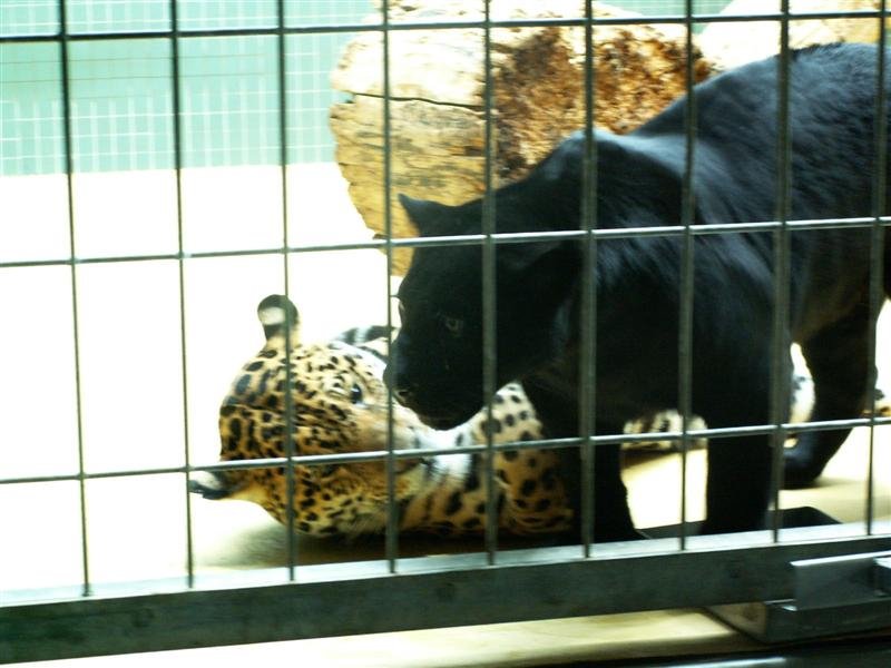 pict0274.jpg