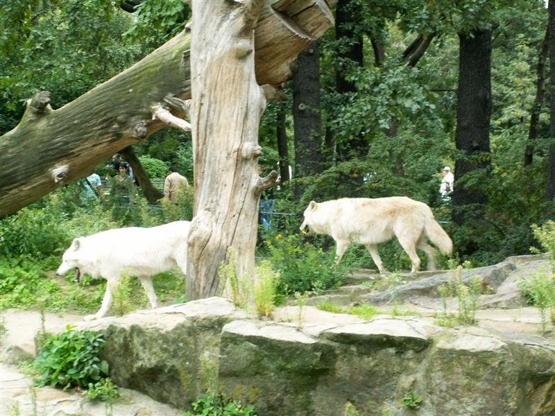 pict0277.jpg