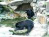 pict0281_small.jpg