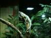 pict0283_small.jpg