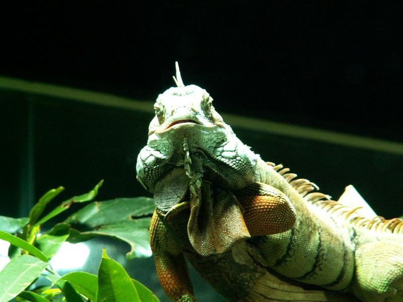 pict0284.jpg