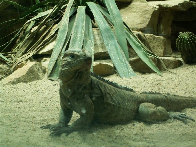 pict0285.jpg