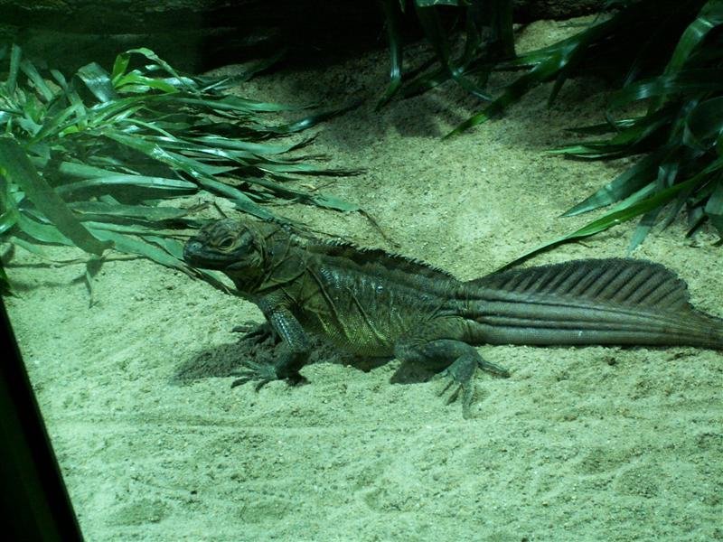 pict0288.jpg