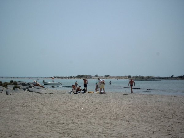 simg0262.jpg