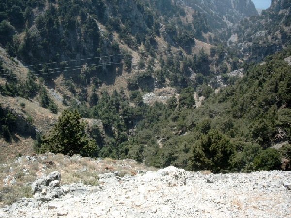 simg0264.jpg