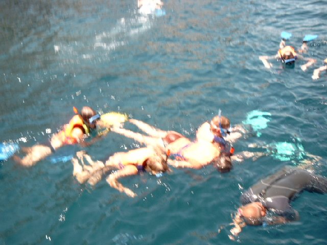 simg0575.jpg