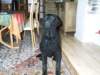 billede006_small.jpg