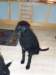 billede019_small.jpg
