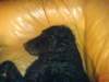 dsc00051_small.jpg