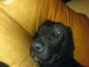 dsc00056_small.jpg
