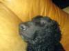 dsc00058_small.jpg