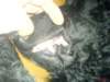 dsc00059_small.jpg