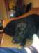 dsc00060_small.jpg