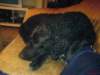 dsc00061_small.jpg