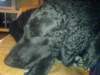 dsc00063_small.jpg