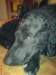 dsc00064_small.jpg