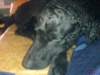 dsc00065_small.jpg