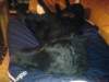 dsc00066_small.jpg