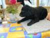 moselundsmacron260701_small.jpg