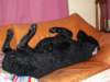 pict0001_small.jpg