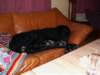 pict0003_small.jpg