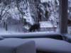 pict0009_small.jpg