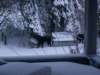 pict0010_small.jpg