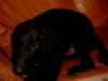 simg0052_small.jpg