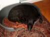 simg0056_small.jpg