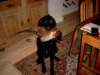 simg0379_small.jpg