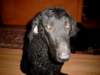 simg0410_small.jpg