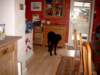 simg0418_small.jpg