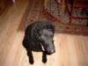 simg0422_small.jpg