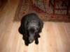 simg0423_small.jpg