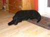 sn850550_small.jpg