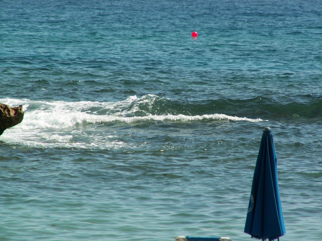 pict0040.jpg