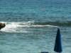 pict0040_small.jpg