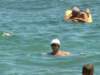 pict0054_small.jpg