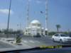 sn850231_small.jpg